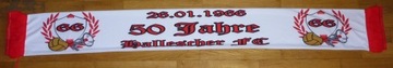 Шарф Hallescher FC-ультрас-Німеччина