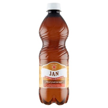 Лечебная вода JAN 12x 0,5 л