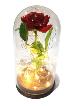 Вічна троянда в склі з куполом світлодіодний червоний гравер
