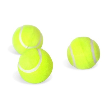 Теннисные мячи MASTER 3 шт.