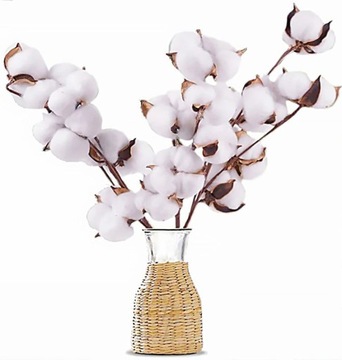 Декоративные натуральные сушеные цветы веточки хлопка для вазы веточки плюща