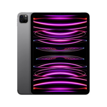 iPad Pro11 M2 256GB Wi-Fi + 5G космический серый