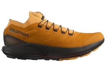 Чоловіче спортивне взуття для бігу trail Training Salomon 42 2/3
