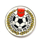 Знак Лодзинської Футбольної асоціації (офіційний)