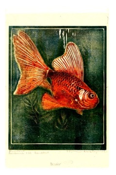 Магнит на холодильник золотая рыбка Рыба Рыба злотый