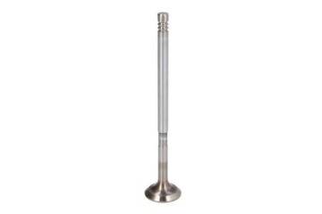 R6304/SCR - Всасывающий клапан FRECCIA R6304 / SCR