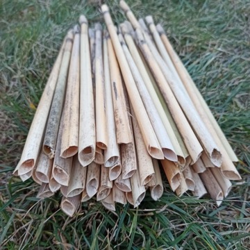 Тростниковые трубки 8 мм+ тростник для каменщика