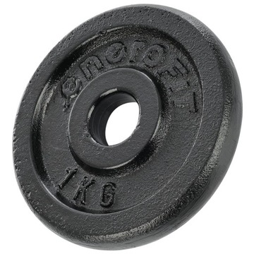 Чугунная нагрузка для гантелей 1 кг ENERO FIT fi 26,5 мм