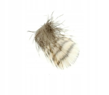 FFGene Woodcock Plumage