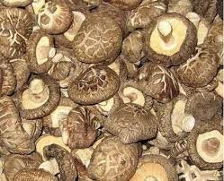 Сушені гриби Поку 1 кг шиітаке