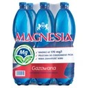Магнезия натуральная минеральная газированная вода 6 x 1,5 л
