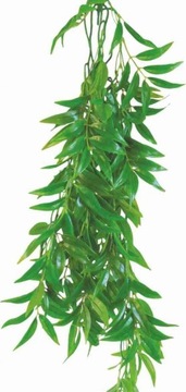 РОСЛИНА ПРИКРАСА ДЛЯ ТЕРАРІУМУ FICUS LONGIFOLIA 70 СМ