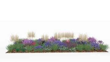 Готовий дизайн саду-мальовнича натуралістична грядка з багатолітниками