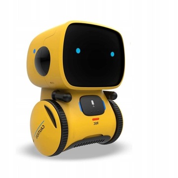 Emo Robo Pocket RC Robot Talking Intera