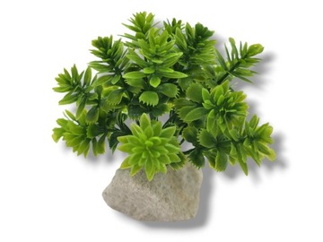 Штучна рослина На камені StonePlant тип 13 TerraQuality