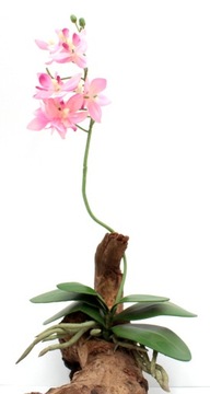 Рослина r020 для тераріуму 40см орхідея з квіткою