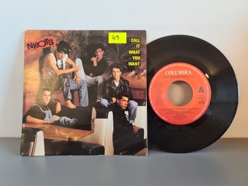 NKOTB-Call It What You Want EX