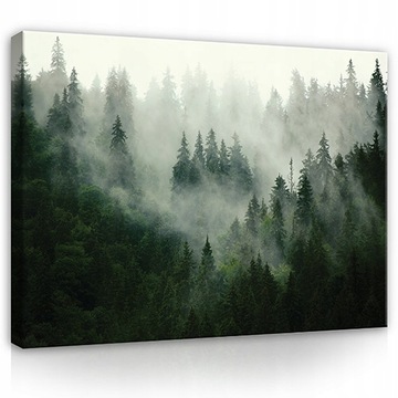 Картина лес в тумане природа для стены большой XXL 120X80