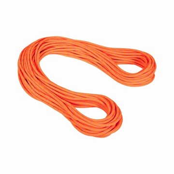 Динамическая веревка Mammut 9.5 mm Alpine Dry safety orange-zen 50m