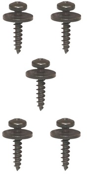 ВИНТ TORX 5X24 КРЫШКИ RENAULT MODUS VEL SATIS