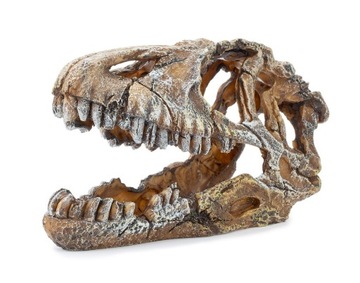 Украшение для аквариума Happet u714 череп динозавра 17 см