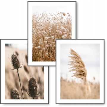 BOHO набор из 3 изображений 30X40 сухой травы плакат # 14