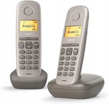 Бездротовий стаціонарний телефон Gigaset A170 Duo