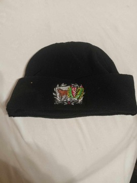 Сілезія Вроцлав FC Wołow Cap!