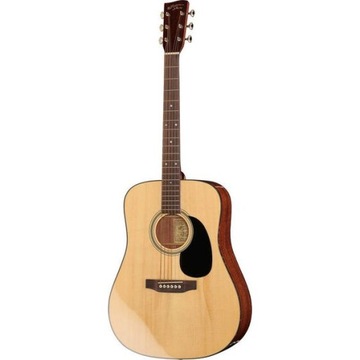 Акустическая гитара Recording King RD-318 Adirondack