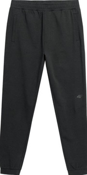 4F МУЖСКИЕ СПОРТИВНЫЕ БРЮКИ SPMD013 22S ROZ M