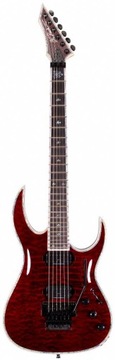 B. C. Rich Shredzilla Prophecy Exotic archtop гітари