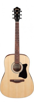 Ibanez V40 - OPN Open Pore natural гітара
