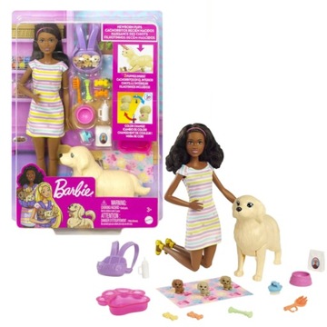 Набор куклы Барби с собачками и аксессуарами HCK76
