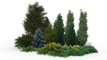 Готовий дизайн саду-Жива стіна з вічнозелених видів