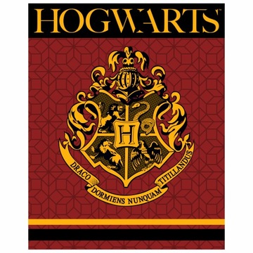 Гарри Поттер одеяло одеяло флис Хогвартс мягкий подарок 120X150 см