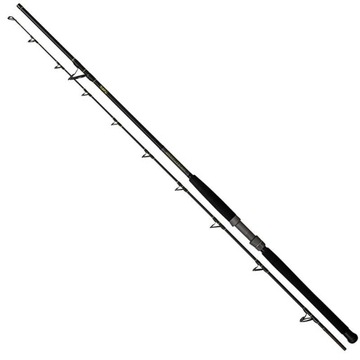 Удочка Black Cat Solid Spin 2.90 m 100-500g