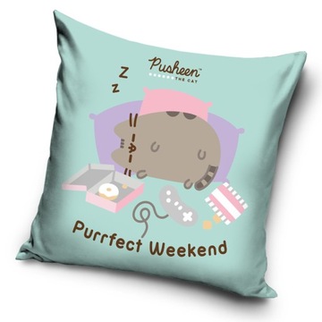 Наволочка для детской подушки 40x40 котенок PUSHEEN weekend синяя команда