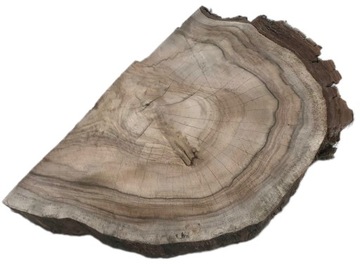 ломтик древесины грецкого ореха под смолу, отшлифованный о-28
