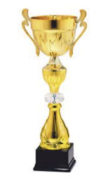 Кубок трофей 1 2 3 місце 9113 C (35cm)