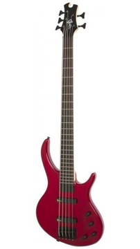 EPIPHONE TOBY DELUXE V TR БАС-ГІТАРА
