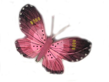 Метелик великий # D8 рожевий Метелики метелики Декоративні троянди