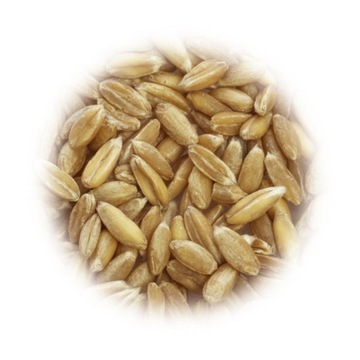 зерна пшеницы полбы для измельчения 5 кг