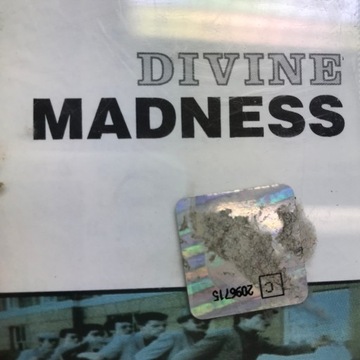 Альбом: Divine Madness-Madness