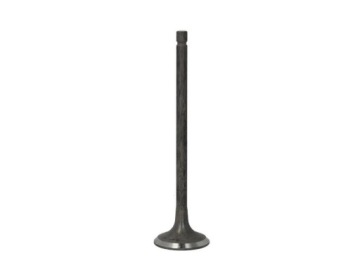 R6604/RNT - FRECCIA R6604 / RNT выпускной клапан