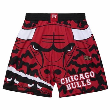 Шорты Mitchell Ness NBA Chicago Bulls Jumbotron