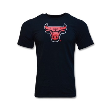 Футболка Nike NBA Chicago Bulls Dry-Fit