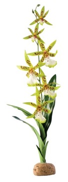 Hagen декоративна штучна рослина для тераріуму орхідея павук Орхідея
