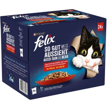 Фелікс котячий корм в желе 24 шт x 85 г