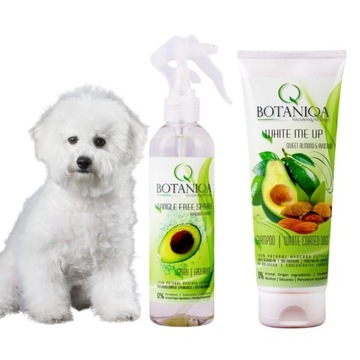 Шампунь і спрей Botaniqa White Me & Tanglee Free