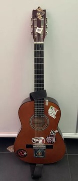 Гитара CLASSIC C20 MSA